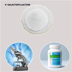 4'-GALACTOSYLLACTOSE