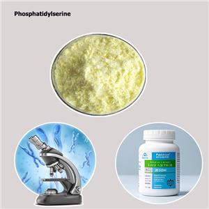 Phosphatidylserine