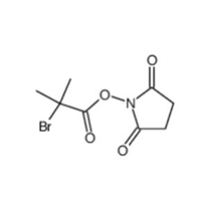 2-bromo-2-methylpropionic acid 2,5-dioxopyrrolidin-1-yl ester