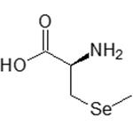 26046-90-2 L-Se-Methylselenocysteine (L-SeMC)