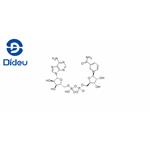 53-84-9 β-Nicotinamide adenine dinucleotide