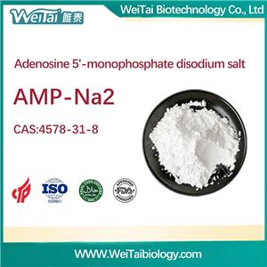 Adenosine 5'-monophosphate disodium salt（AMP-NA2）