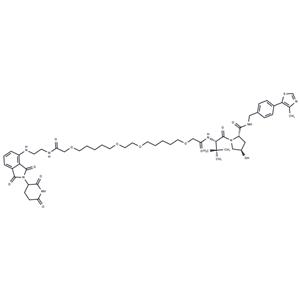 PROTAC CRBN Degrader-1