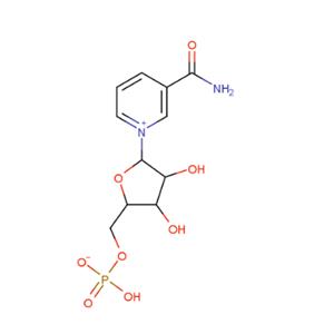 β-Nicotinamide Mononucleotide