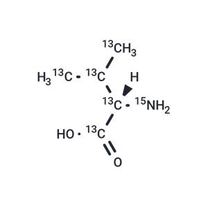 L-Valine-13C5-15N