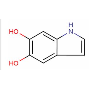5,6-DIHYDROXYINDOLE