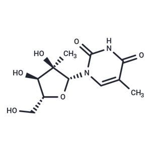 2'-C-Methyl-5-methyluridine