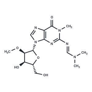 N2-[(N,N-Dimethyl)amino]methylene-N1-methyl-2'-O-Methyl ? guanosine