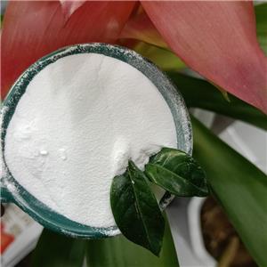 Mesterolone(Proviron)