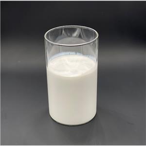 Water-based antioxidants 1005