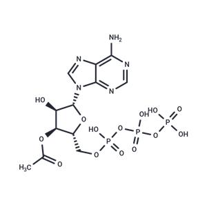 3′-Acetate-ATP