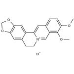633-65-8 Berberine hydrochloride