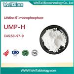 58-97-9 Uridine 5'-monophosphate(UMP-H)