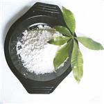 80433-71-2 Calcium levofolinate