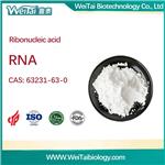 63231-63-0 Ribonucleic Acid (RNA)