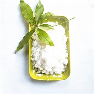 Sodium risedronate