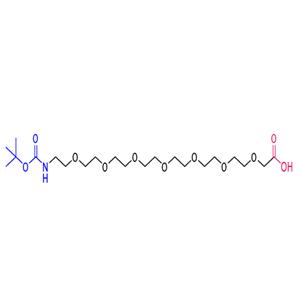 2,2-dimethyl-4-oxo-3,8,11,14,17,20,23,26-octaoxa-5-azaoctacosan-28-oic acid