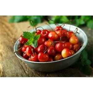 Tart Cherry Extract