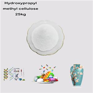 Hydroxypropyl methyl cellulose