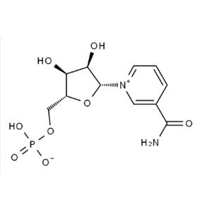 β-Nicotinamide Mononucleotide