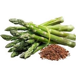 Asparagus Extract