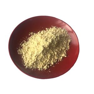 Turmeric Extract Curcumin