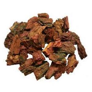 Pine Bark Extract