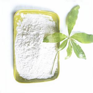 TRIPROPYLENE GLYCOL MONOMETHYL ETHER