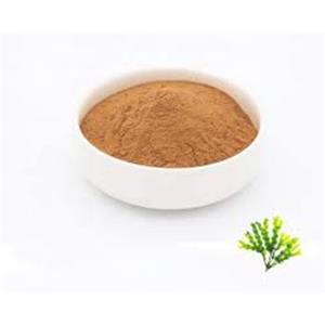 Bladderwrack Extract