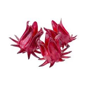 Roselle Extract