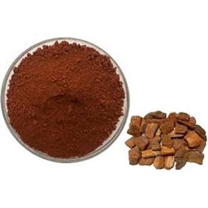 Pine Bark Extract