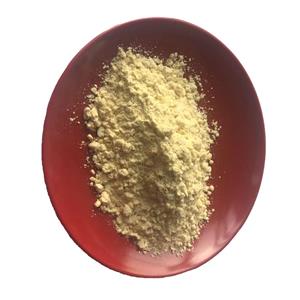 Turmeric Extract Curcumin