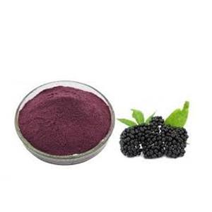 Elderberry Extract