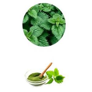 Nettle Extract