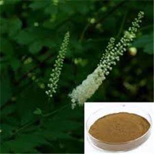 Black Cohosh Extract