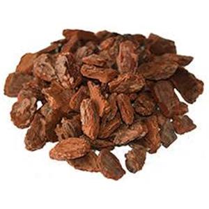 Pine Bark Extract
