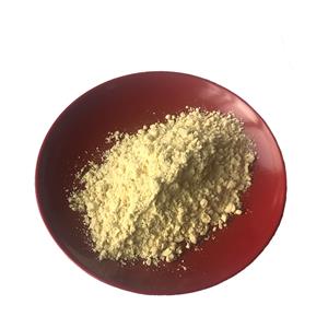 Turmeric Extract Curcumin