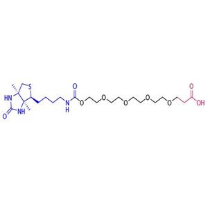 17-oxo-22-((3aS,4S,6aR)-2-oxohexahydro-1H-thieno[3,4-d]imidazol-4-yl)-4,7,10,13,16-pentaoxa-18-azadocosanoic acid