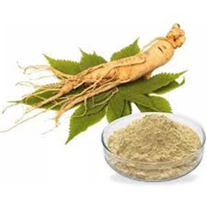 Ginseng extract