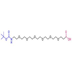 2,2-dimethyl-4-oxo-3,8,11,14,17,20,23-heptaoxa-5-azahexacosan-26-oic acid