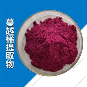 Bilberry Extract