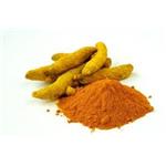 458-37-7 Curcumin