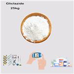 21187-98-4 Gliclazide