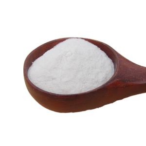 17-hydroxy-6-methylenepregn-4-ene-3,20-dione 17-acetate