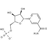 1094-61-7 β-Nicotinamide mononucleotide
