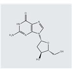 961-07-9 2'-Deoxyguanosine