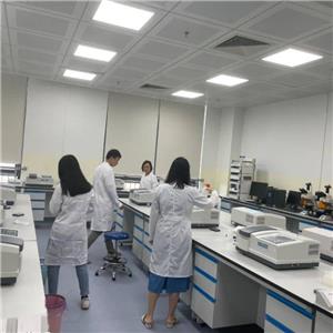 DL-ADRENALINE HYDROCHLORIDE