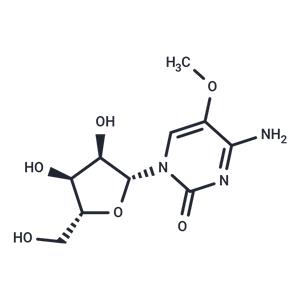 5-Methoxy ?cytidine
