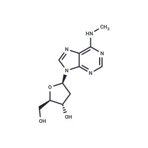 2'-Deoxy-N6-methyl adenosine