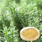 20283-92-5 Rosemary acid